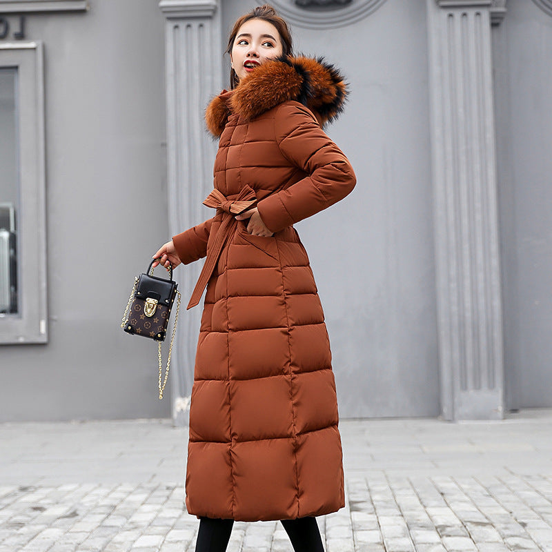 5e11b7a4ed1b2a1fafe554ce78bd4558