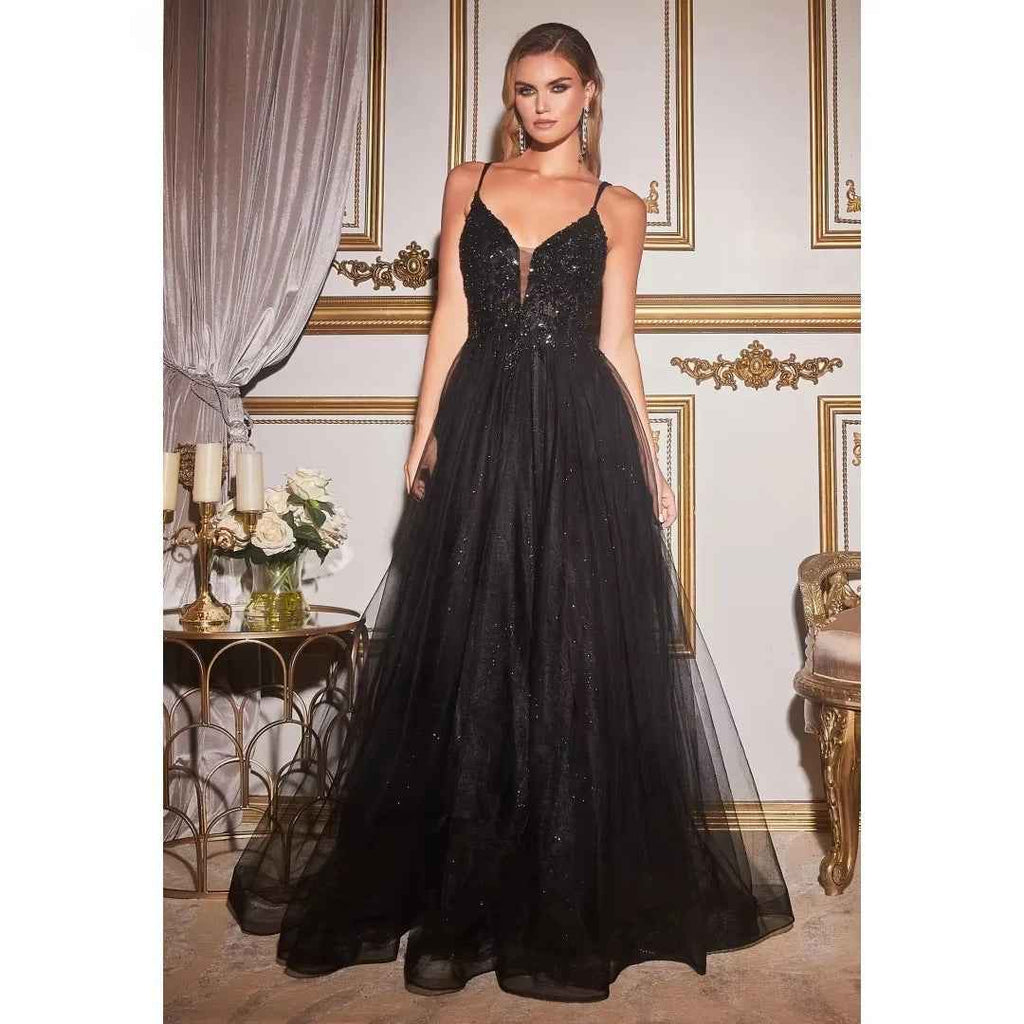 Women's Embroidered Lace Sleeve A-Line Tulle Gown