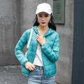d75564f839b4fdd8d20ebb5fb711501d