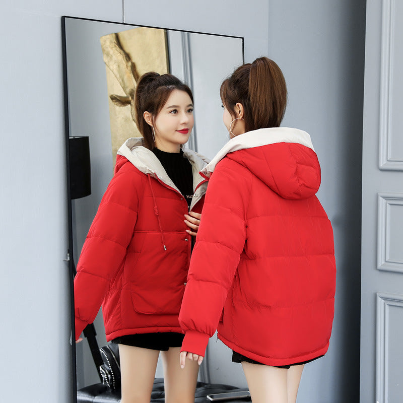 Thick Down-Cotton Padded Jacket – 7 Colours