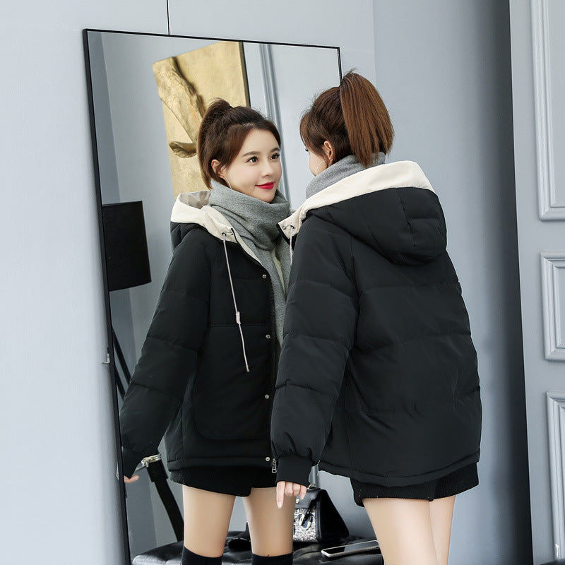 Thick Down-Cotton Padded Jacket – 7 Colours