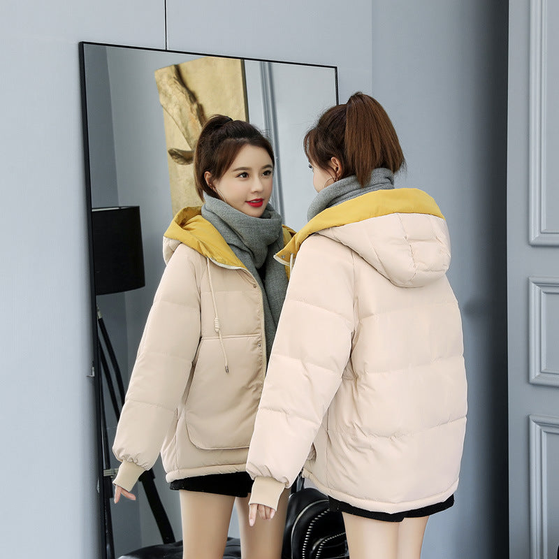 Thick Down-Cotton Padded Jacket – 7 Colours