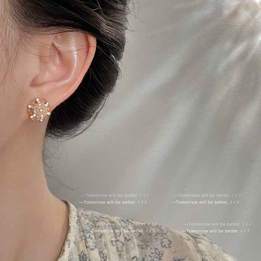 3D Sparkling Crystal Stud Earrings For Women Niche Luxury Zircon Earrings Versatile Elegant Jewelry