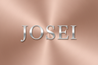 JOSEI Logo - Rose Gold with Silver Letters